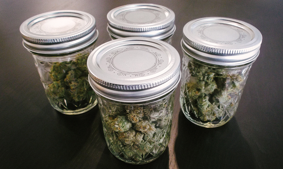 how-to-extend-the-shelf-life-of-cannabis-bonza-blog