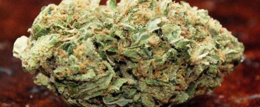 Skunk #1 Medical Use and Benefits