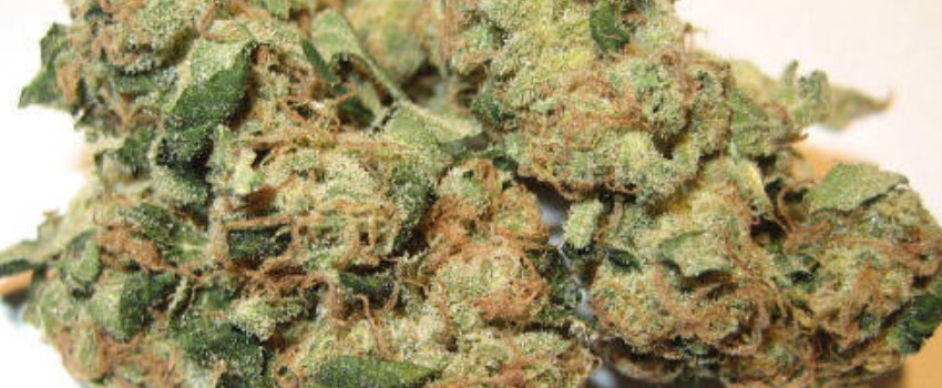 Super Sour Diesel Medical Use and Benefits