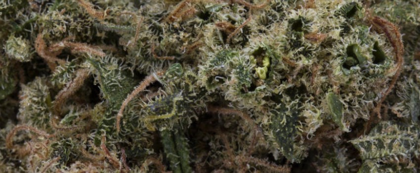 Allen Wrench Odor and Flavors