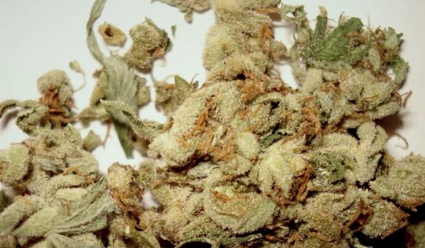 Dr Grinspoon Strain Effects
