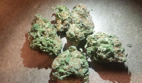 hashberry strain medical