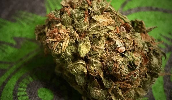 Marionberry Kush Strain Review - Bonza Blog